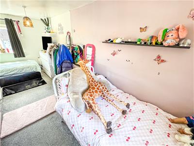 Picture 15
